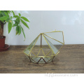 Speciale huistuindecoratie Geometrisch terrariumglas